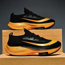 51155680854326|51155680887094|51155680919862|51155680952630|51155681149238|51155681182006|51155681214774|51155681247542|51155681280310|51155681313078|51155681345846