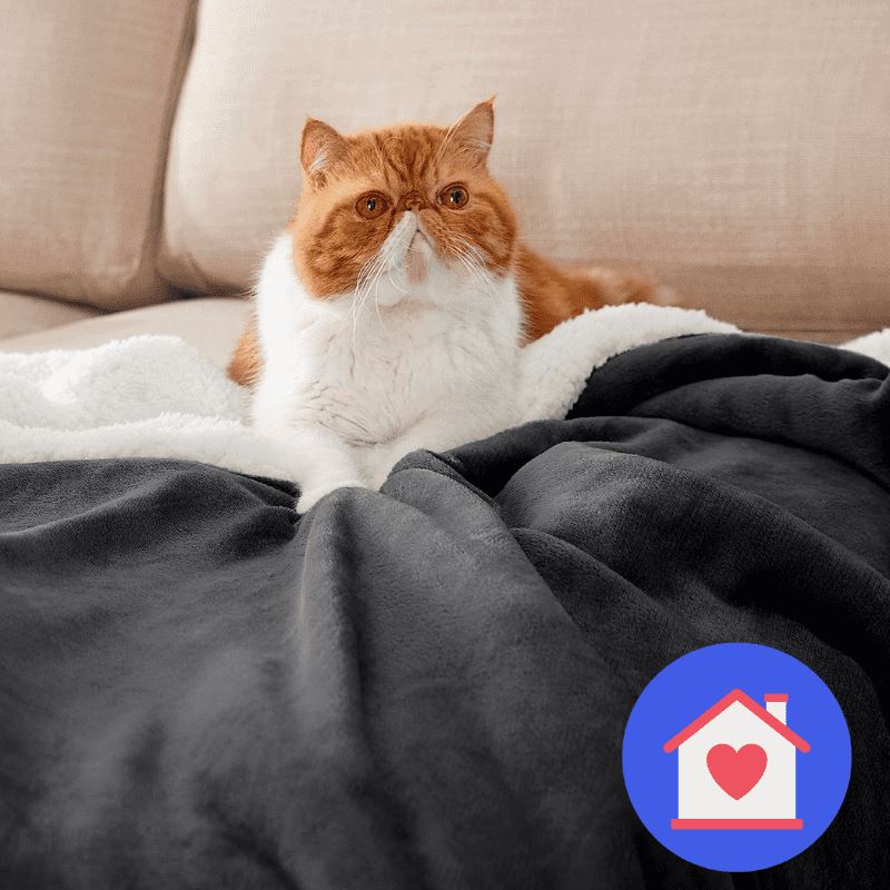 Coberdrom Sherpa Pele de Carneiro