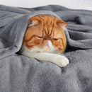 Cobertor Manta Microfibra Solteiro Casal Queen