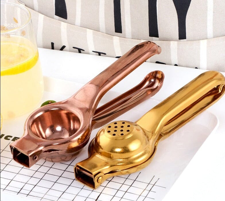 Espremedor Inox de Frutas e Cítricos