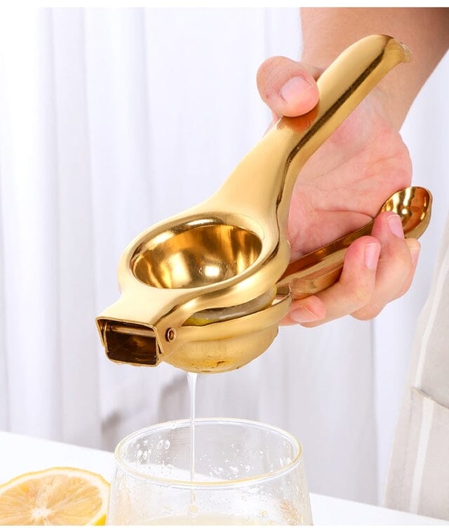 Espremedor Inox de Frutas e Cítricos