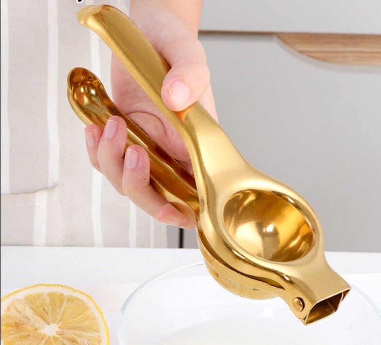 Espremedor Inox de Frutas e Cítricos