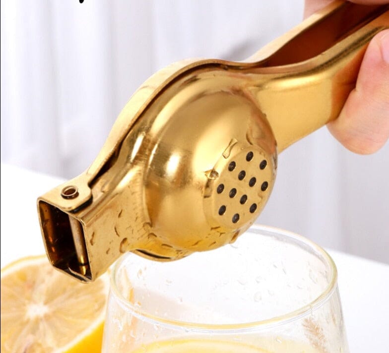 Espremedor Inox de Frutas e Cítricos