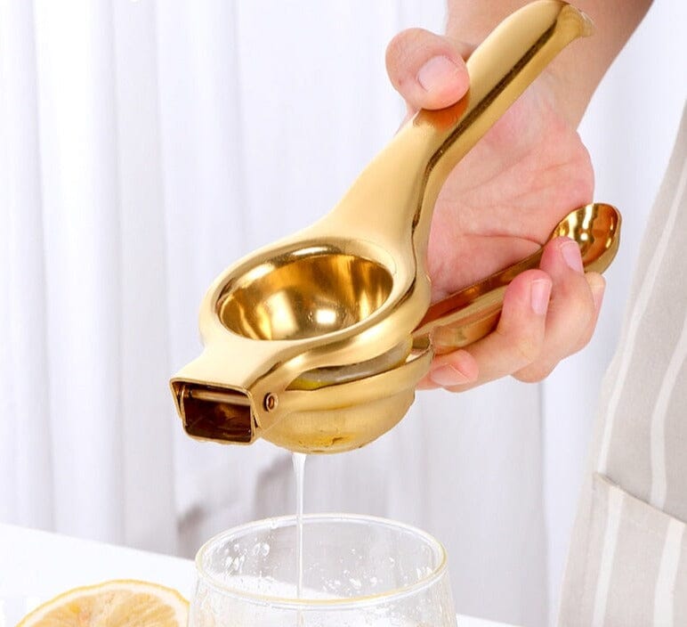 Espremedor Inox de Frutas e Cítricos