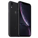 Celular Apple iPhone XR 64GB  / Tela 6.1" / Cameras 12MP e 7MP - VITRINE A+